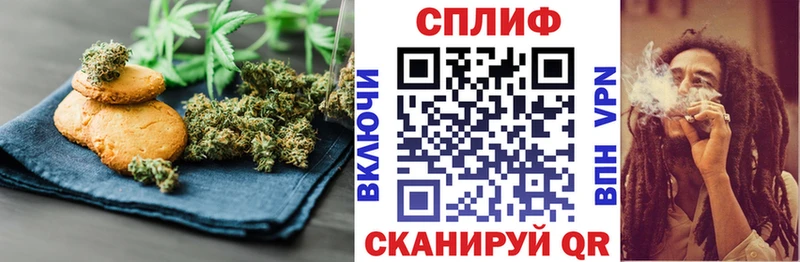 блэк спрут   Нововоронеж  Печенье с ТГК конопля 