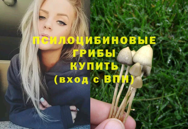 синтетический гашиш Алексеевка