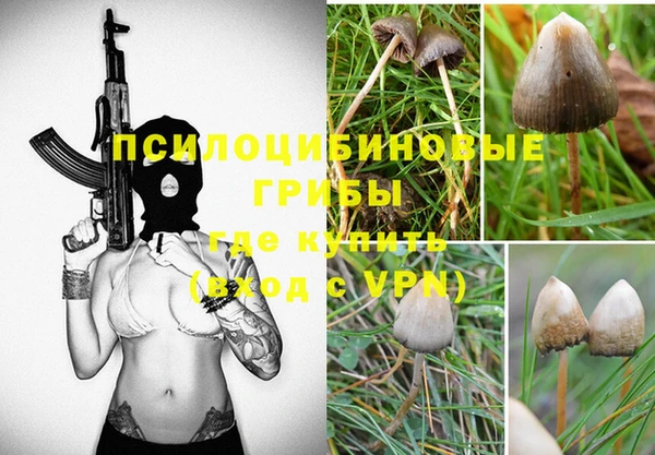 синтетический гашиш Алексеевка