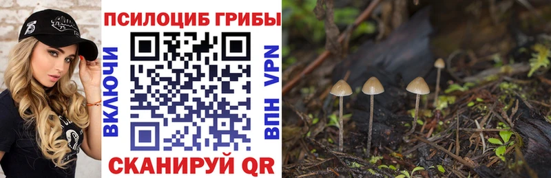 продажа наркотиков  Нововоронеж  Псилоцибиновые грибы ЛСД 