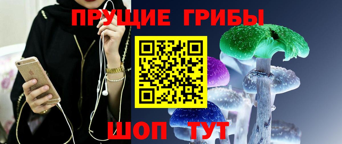 Псилоцибиновые грибы мицелий Нововоронеж
