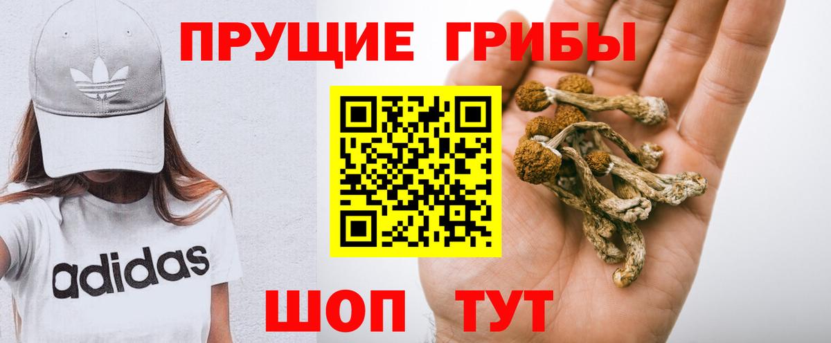 Галлюциногенные грибы MAGIC MUSHROOMS  Вход с VPN  Нововоронеж 