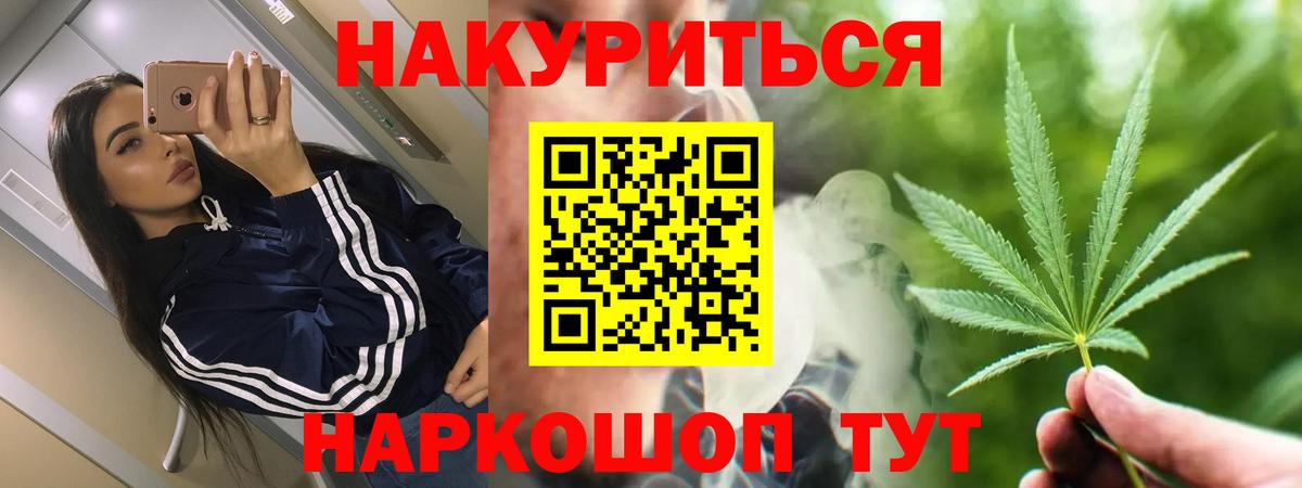 Каннабис сатива Нововоронеж